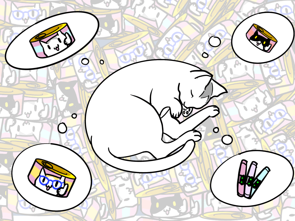 What Is In The&nbsp;Drawer