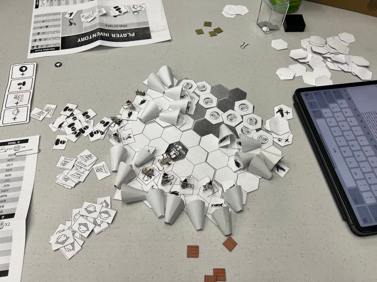 S.A.F.E. African Penguins